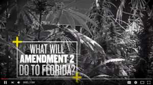 what-will-amendment-2-due-to-fl