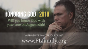 voter guides