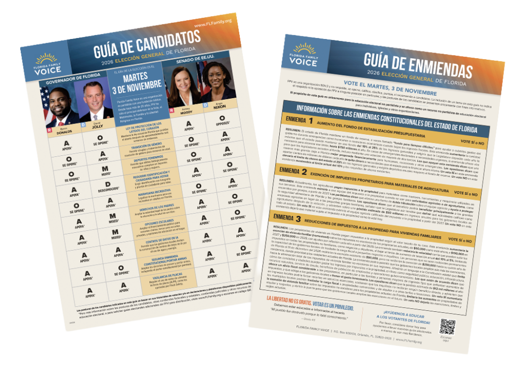 Florida Governor and Amendment Voter Guide.Spanish